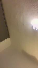 Javiexotic69 webcam preview