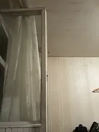 Lion21s webcam model stream image