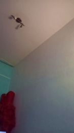 marquestorres webcam cam4 model stream image