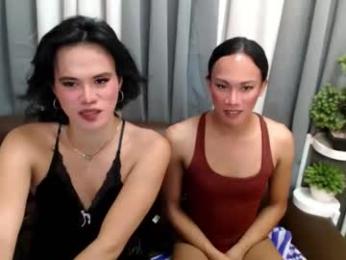 shasha_ishere webcam chaturbate model stream image