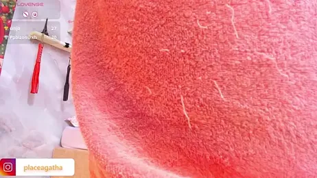 agathaxxx-69 webcam model stream image