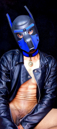 the_dog_lian webcam model stream image