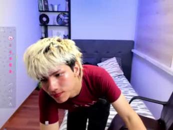 stich_23 webcam model stream image