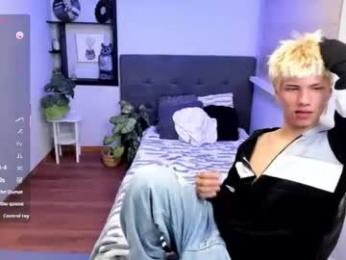 stich_23 webcam preview