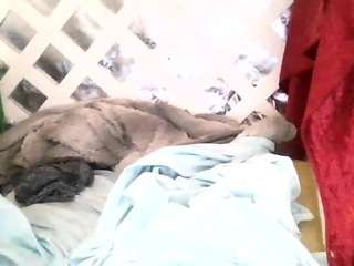 saturnup webcam model stream image