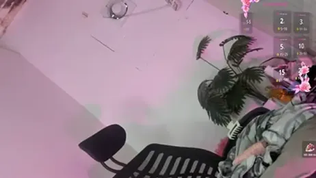 Transuncutjelay webcam model stream image