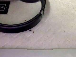 drekoobae webcam model stream image