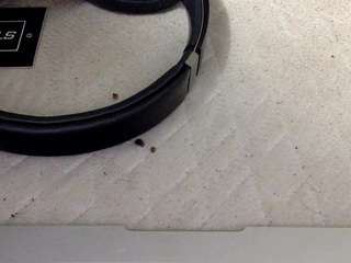 drekoobae webcam model stream image