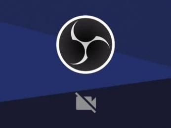 renepc6 webcam model stream image