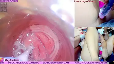 MaryBrook1 webcam model stream image