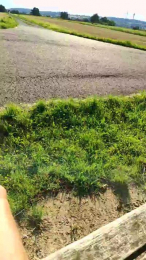 ichEnzian76 webcam model stream image
