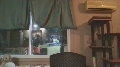 moro_arenita webcam model stream image