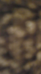 Duro0784 webcam model stream image