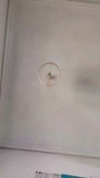 rizacanela webcam model stream image