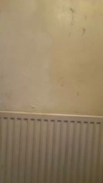 GymBuilt webcam model stream image