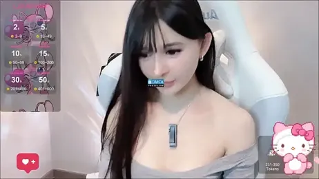 fog- webcam model stream image