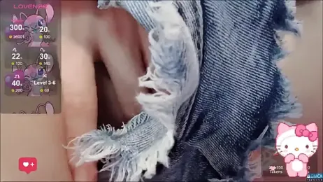 fog- webcam model stream image