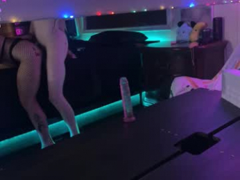 thecarrguyy webcam model stream image