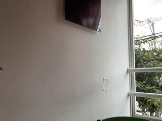 Braun Phillips webcam model stream image