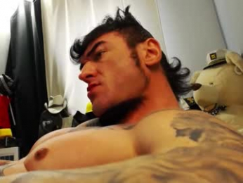 ballard_ webcam model stream image