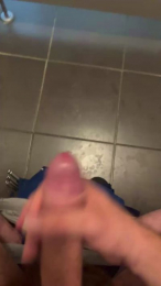 Dickersw02 webcam model stream image