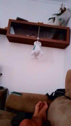Tumorvosa webcam model stream image