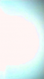 Sevillano_41 webcam cam4 model stream image