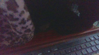 hugoalianza webcam model stream image