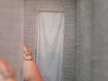 Dmeesk webcam model stream image