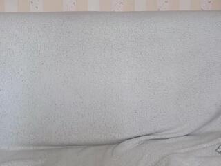 Sherri webcam model stream image