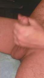 Pinguino08 webcam cam4 model stream image