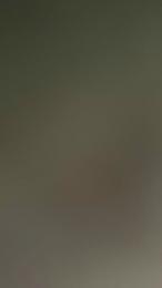 zonneke2 webcam model stream image