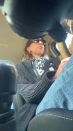 Elydea webcam model stream image