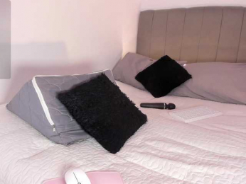 RosseeDaw webcam model stream image