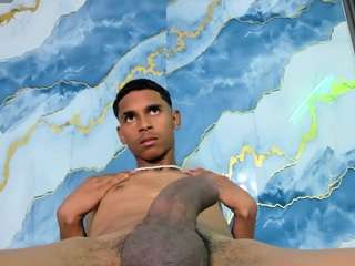 riostark webcam model stream image
