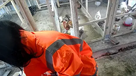 curvyana69 webcam model stream image