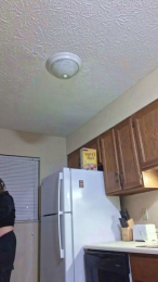 Scarlett_Jones8 webcam model stream image