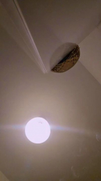 Afgc webcam cam4 model stream image