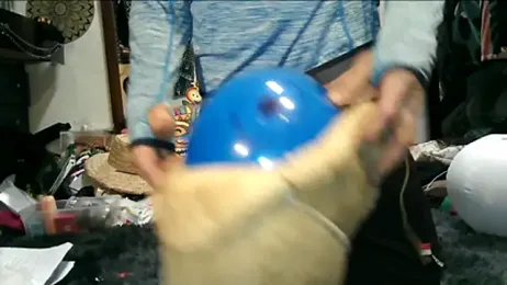 Concrete_Daddy webcam model stream image