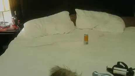 ashleyandtommy1 webcam model stream image