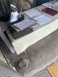 EnriquePersian197 webcam stripchat model stream image