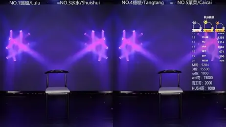 SK-001 webcam model stream image