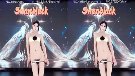 SK-001 webcam model stream image