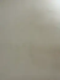 Cute-Sakhi webcam model stream image