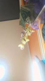 Jesi_Catler webcam cam4 model stream image