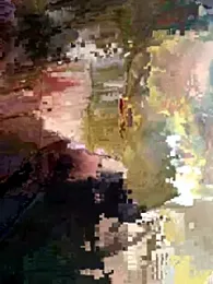 Exhibguy16 webcam preview