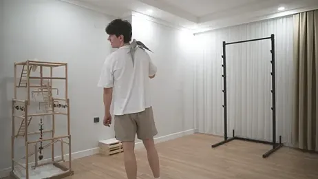 tommyjoyer webcam stripchat model stream image