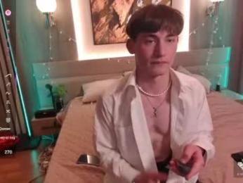 vinsant_x webcam model stream image