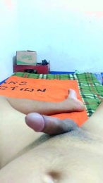 vicet_tauyes webcam cam4 model stream image