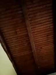 CurlyElisa webcam model stream image